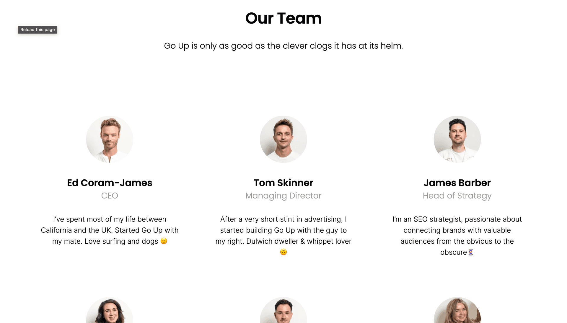 Overview of the 'Our Team' section